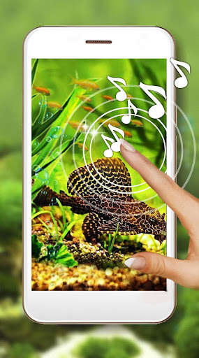 Run android online APK Aquarium Fishes Nice from MyAndroid or emulate Aquarium Fishes Nice using MyAndroid Run android online APK Aquarium Fishes Nice from MyAndroid or emulate Aquarium Fishes Nice using MyAndroid