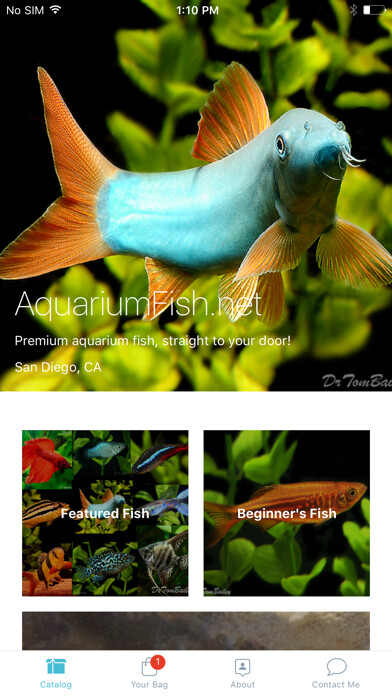 Emulate iPhone app AquariumFish.net using MyAndroid Emulate iPhone app AquariumFish.net using MyAndroid
