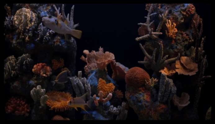 Emulate Android APK Aquarium HD Emulate Android APK Aquarium HD