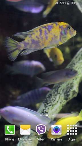 Emulate Android APK Aquarium HD Video Wallpaper Emulate Android APK Aquarium HD Video Wallpaper