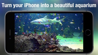 Emulate iPhone app Aquarium Live - Real Fish Tank using MyAndroid Emulate iPhone app Aquarium Live - Real Fish Tank using MyAndroid