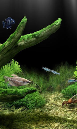 Emulate Android APK Aquarium live wallpapers Emulate Android APK Aquarium live wallpapers