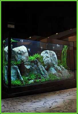 Emulate Android APK Aquarium Modern Design Emulate Android APK Aquarium Modern Design