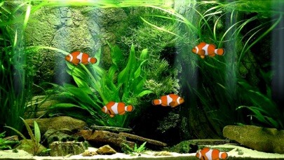 Emulate iPhone app Aquarium Now using MyAndroid