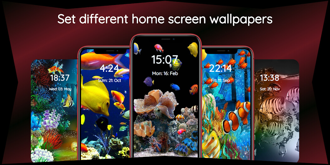 Run android online APK Aquarium Wallpapers from MyAndroid or emulate Aquarium Wallpapers using MyAndroid Run android online APK Aquarium Wallpapers from MyAndroid or emulate Aquarium Wallpapers using MyAndroid
