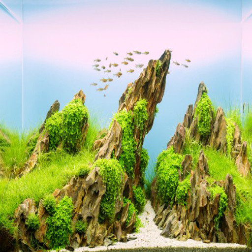 Emulate Android APK Aquascape