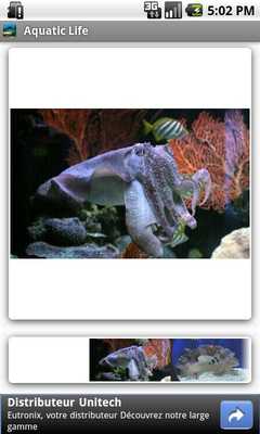 Emulate Android APK Aquatic Life Emulate Android APK Aquatic Life