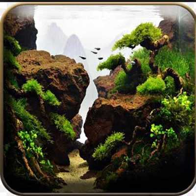 Emulate Android APK Aquscape Design Emulate Android APK Aquscape Design