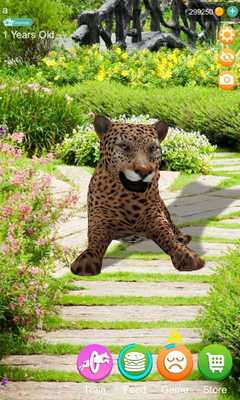 Emulate Android APK AR Cheetah Emulate Android APK AR Cheetah