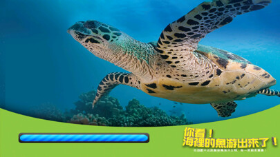 Emulate iPhone app ARCOCEAN - ARC OCEAN using MyAndroid Emulate iPhone app ARCOCEAN - ARC OCEAN using MyAndroid