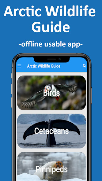 Run android online APK Arctic Wildlife Guide from MyAndroid or emulate Arctic Wildlife Guide using MyAndroid Run android online APK Arctic Wildlife Guide from MyAndroid or emulate Arctic Wildlife Guide using MyAndroid