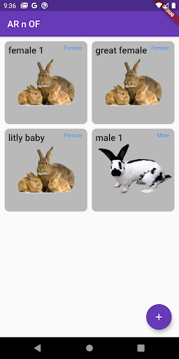 Run android online APK arnof-Rabbit Manager from MyAndroid or emulate arnof-Rabbit Manager using MyAndroid Run android online APK arnof-Rabbit Manager from MyAndroid or emulate arnof-Rabbit Manager using MyAndroid