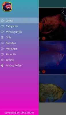 Emulate Android APK Arowana Fish 3D Wallpapers