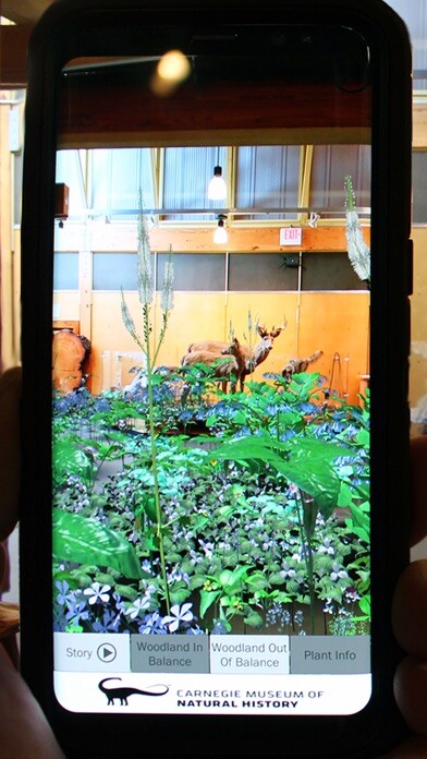 Emulate iPhone app AR Perpetual Garden using MyAndroid Emulate iPhone app AR Perpetual Garden using MyAndroid