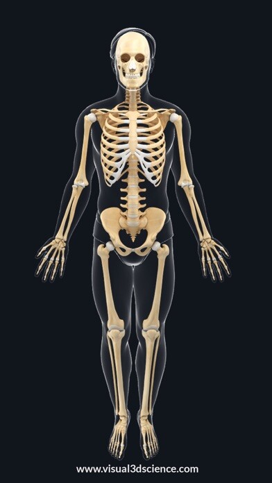 Emulate iPhone app AR Skeleton Anatomy using MyAndroid Emulate iPhone app AR Skeleton Anatomy using MyAndroid