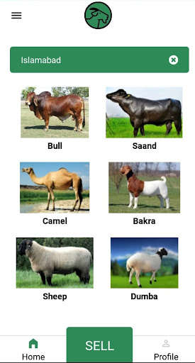 Run android online APK Asaan Qurban : Order Online Qurbani, Bakra, Bull from MyAndroid or emulate Asaan Qurban : Order Online Qurbani, Bakra, Bull using MyAndroid