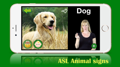 Emulate iPhone app ASL Animals - Lite using MyAndroid Emulate iPhone app ASL Animals - Lite using MyAndroid