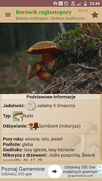 Run android online APK Atlas grzybów from MyAndroid or emulate Atlas grzybów using MyAndroid Run android online APK Atlas grzybów from MyAndroid or emulate Atlas grzybów using MyAndroid