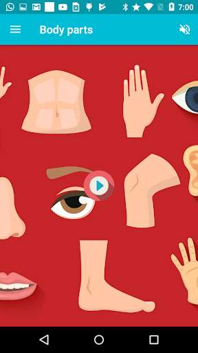 Run android online APK AtoZ Body Parts Prime from MyAndroid or emulate AtoZ Body Parts Prime using MyAndroid Run android online APK AtoZ Body Parts Prime from MyAndroid or emulate AtoZ Body Parts Prime using MyAndroid