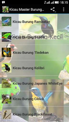 Run android online APK Audio Kicau Master Burung Kecil from MyAndroid or emulate Audio Kicau Master Burung Kecil using MyAndroid Run android online APK Audio Kicau Master Burung Kecil from MyAndroid or emulate Audio Kicau Master Burung Kecil using MyAndroid