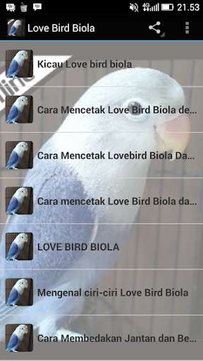 Run android online APK Audio Love Bird Biola from MyAndroid or emulate Audio Love Bird Biola using MyAndroid Run android online APK Audio Love Bird Biola from MyAndroid or emulate Audio Love Bird Biola using MyAndroid
