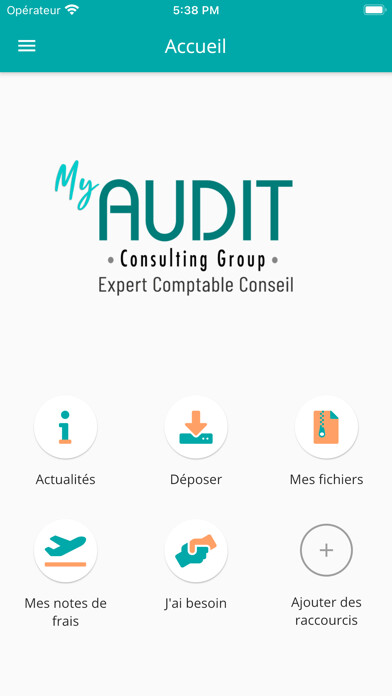 Emulate iPhone app Audit Consulting Group using MyAndroid Emulate iPhone app Audit Consulting Group using MyAndroid