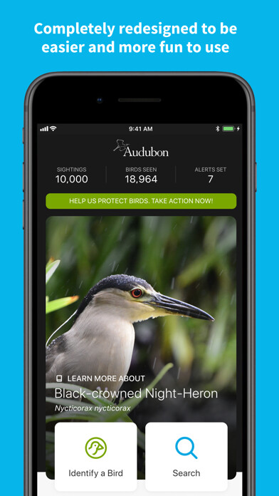 Emulate iPhone app Audubon Bird Guide using MyAndroid