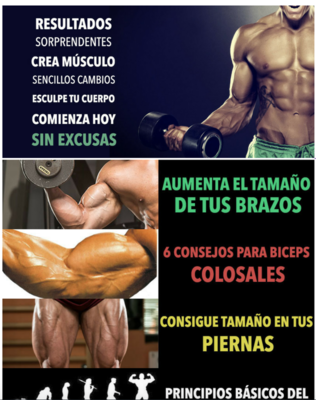 Emulate Android APK Aumentar Masa Muscular Rapido Emulate Android APK Aumentar Masa Muscular Rapido