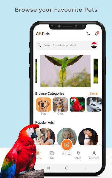 Run android online APK AUR Pets from MyAndroid or emulate AUR Pets using MyAndroid Run android online APK AUR Pets from MyAndroid or emulate AUR Pets using MyAndroid