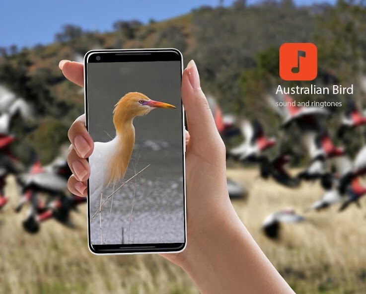 Run android online APK Australian Bird sounds from MyAndroid or emulate Australian Bird sounds using MyAndroid