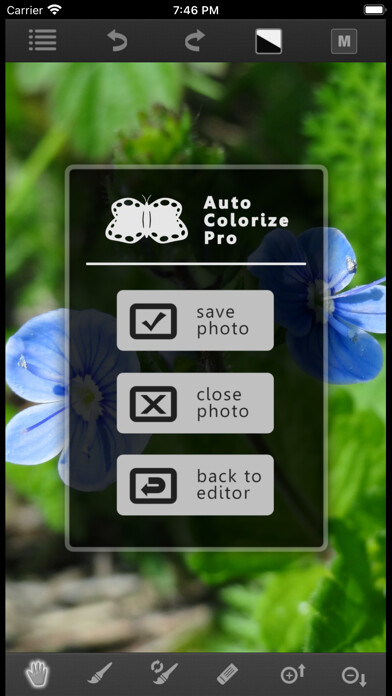 Emulate iPhone app Auto Colorize Pro using MyAndroid