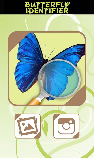 Run android online APK Automatic Butterfly Identifier from MyAndroid or emulate Automatic Butterfly Identifier using MyAndroid