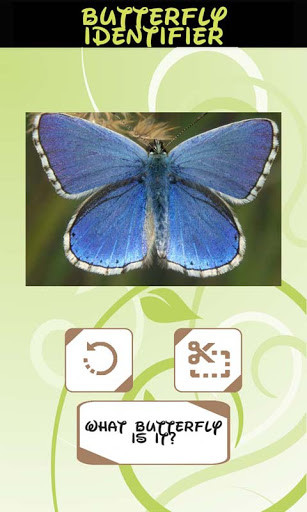 Emulate Automatic Butterfly Identifier from MyAndroid or run Automatic Butterfly Identifier using MyAndroid