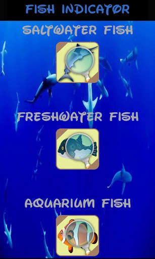 Run android online APK Automatic Fish Identifier from MyAndroid or emulate Automatic Fish Identifier using MyAndroid