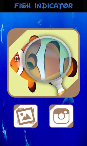 Emulate Automatic Fish Identifier from MyAndroid or run Automatic Fish Identifier using MyAndroid