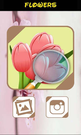 Run android online APK Automatic Identifier of Flowers by Neural Network from MyAndroid or emulate Automatic Identifier of Flowers by Neural Network using MyAndroid