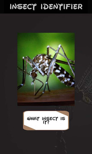 Emulate Automatic insect identifier with neural network from MyAndroid or run Automatic insect identifier with neural network using MyAndroid