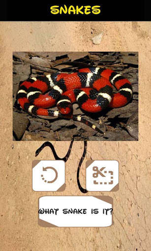 Emulate Automatic Snake Identifier from MyAndroid or run Automatic Snake Identifier using MyAndroid