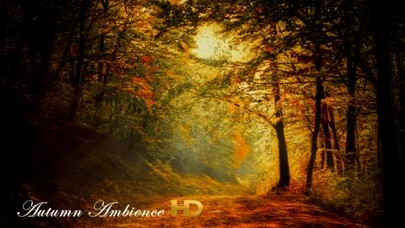 Emulate iPhone app Autumn Ambience HD using MyAndroid Emulate iPhone app Autumn Ambience HD using MyAndroid