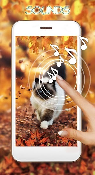 Run android online APK Autumn Animals Live Wallpaper from MyAndroid or emulate Autumn Animals Live Wallpaper using MyAndroid