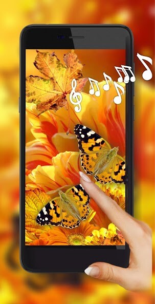 Run android online APK Autumn Flowers and Butterflies from MyAndroid or emulate Autumn Flowers and Butterflies using MyAndroid Run android online APK Autumn Flowers and Butterflies from MyAndroid or emulate Autumn Flowers and Butterflies using MyAndroid