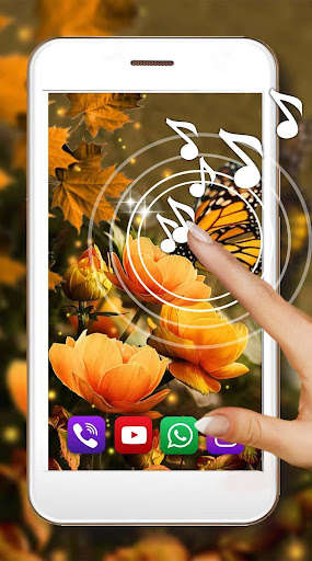 Run android online APK Autumn Flowers HD from MyAndroid or emulate Autumn Flowers HD using MyAndroid Run android online APK Autumn Flowers HD from MyAndroid or emulate Autumn Flowers HD using MyAndroid
