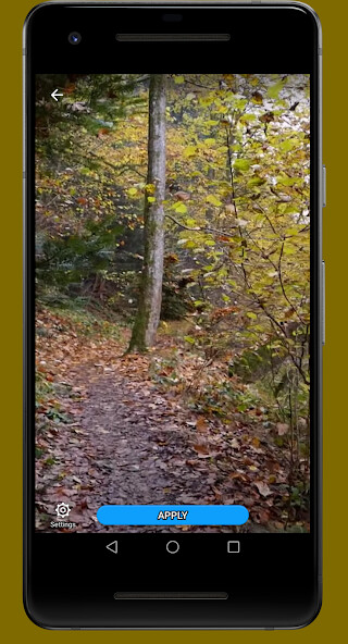 Emulate Android APK Autumn Forest Video Wallpaper Emulate Android APK Autumn Forest Video Wallpaper