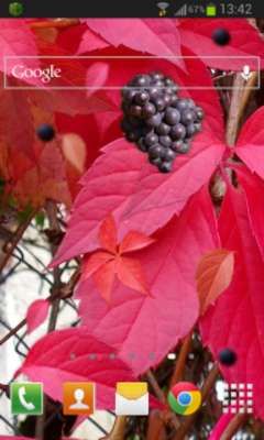 Emulate Android APK Autumn Grapes LWP Emulate Android APK Autumn Grapes LWP