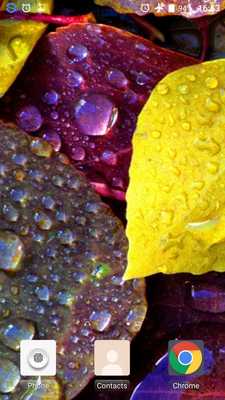 Emulate Android APK Autumn HD Live Wallpaper Emulate Android APK Autumn HD Live Wallpaper