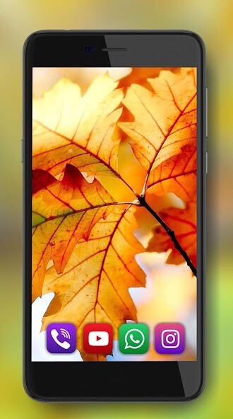 Run android online APK Autumn Leaf HD from MyAndroid or emulate Autumn Leaf HD using MyAndroid