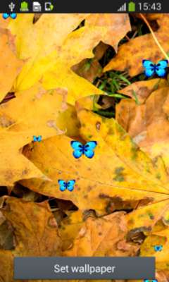 Emulate Android APK Autumn Leaves Live Wallpapers Emulate Android APK Autumn Leaves Live Wallpapers