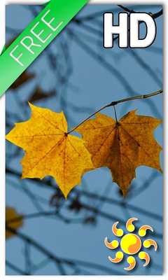 Emulate Android APK Autumn LWP