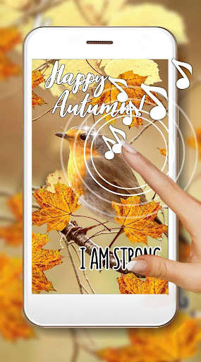 Run android online APK Autumn Motivation Wallpaper from MyAndroid or emulate Autumn Motivation Wallpaper using MyAndroid Run android online APK Autumn Motivation Wallpaper from MyAndroid or emulate Autumn Motivation Wallpaper using MyAndroid