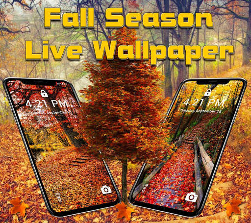 Run android online APK Autumn Season APUS Live Wallpaper from MyAndroid or emulate Autumn Season APUS Live Wallpaper using MyAndroid Run android online APK Autumn Season APUS Live Wallpaper from MyAndroid or emulate Autumn Season APUS Live Wallpaper using MyAndroid